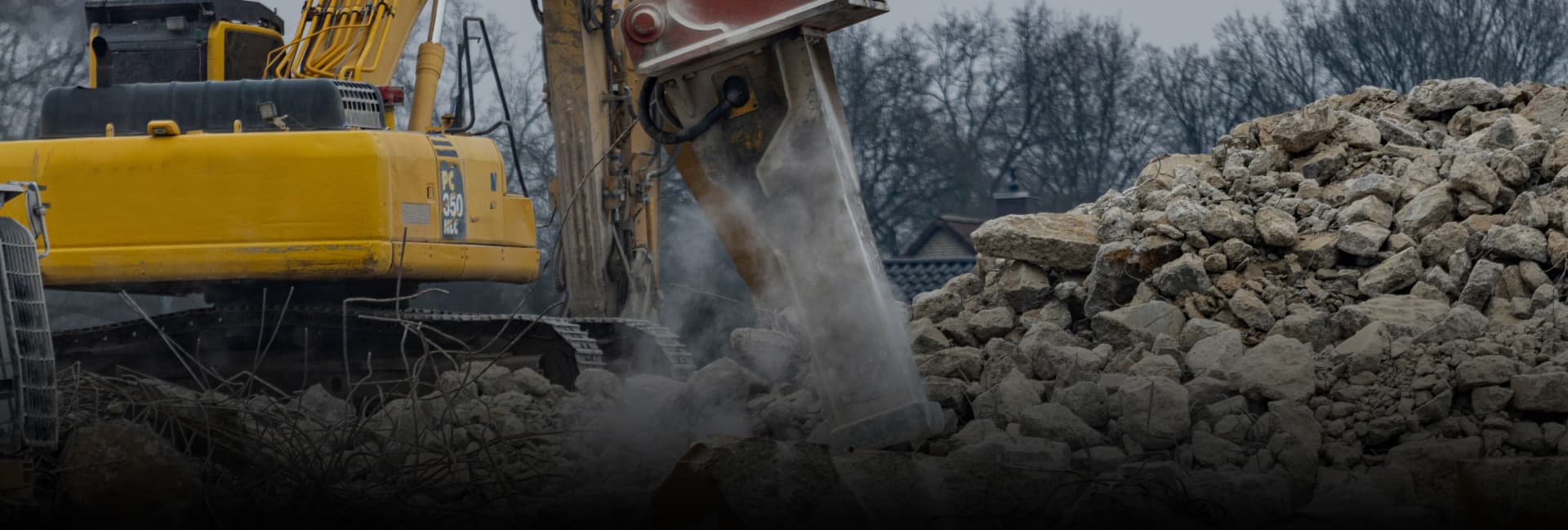 Capabilities Statement Banner Image